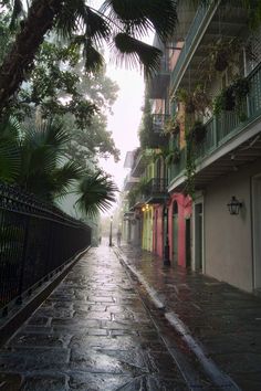 an empty street in the rain with palm trees on either side and buildings lining both sides