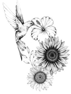 a black and white drawing of a hummingbird flying over sunflowers