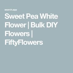 the words sweet pea white flower / bulk diy flowers, fiftyflowers on a gray background