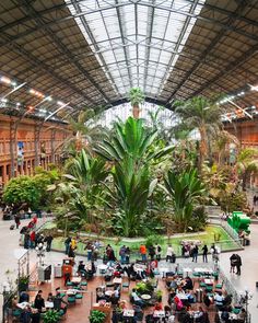 the inside of a large building with lots of plants and people walking around it,