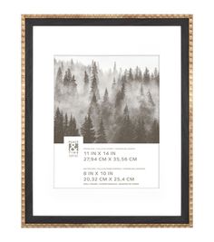 a black and white photo with trees in the background, framed on a wooden frame