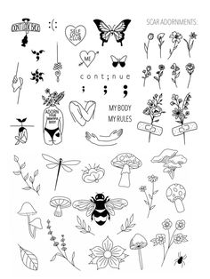 an image of some flowers and insects