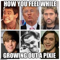 Pixie grow out stages! Ugh! How To Grow Out A Pixie Cut, Growing Out A Pixie Stages Of, Pixie Grow Out Stages, Grow Out Pixie, Growing Pixie Cut, Growing Out A Pixie Cut Stages, Pixie Grow Out, Growing Out Pixie