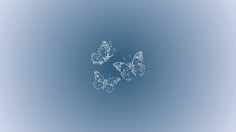 three butterflies flying in the sky together