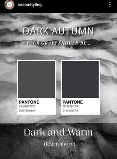 Dark Winter Palette, Winter Palette