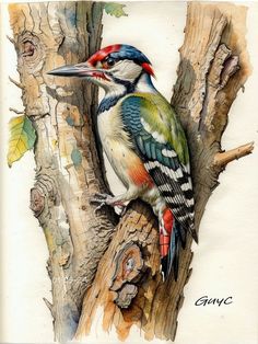 a watercolor painting of a colorful bird on a tree branch with its beak open