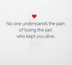 Dogs In Heaven Quotes, Dog Quotes Heaven, Quotes Saddest Feelings Short, I Miss My Dog Pet Loss, Losing A Dog Quotes Comforting Words, My Dog Died Quotes, Losing A Pet Quote Dogs, Quotes About Dogs Passing, Underappreciated Quotes