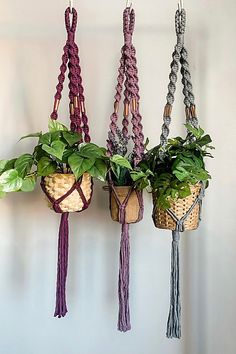 three hanging planters with plants in them