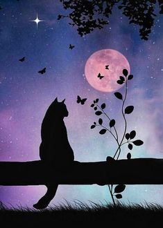 a cat sitting on top of a tree branch in front of a moon and stars