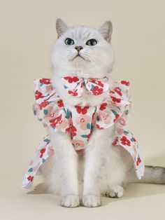 a white cat wearing a red and blue bow tie with flowers on it's collar