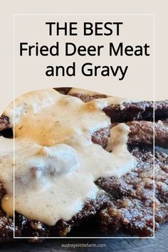 fried deer meat and gravy Ways To Cook Deer Steak, Fried Deer Meat Recipes, Fried Deer Steak Recipes, Fried Deer Backstrap, Deer Steak And Gravy Recipe, Fried Deer Meat, What To Make With Venison Burger, Deer Round Steak Recipes, Venison Steak Recipes Pan Fried