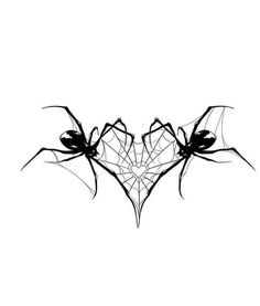 two black and white spider webs on a white background, with the top one being drawn