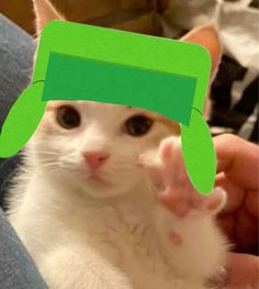 a white cat with a green speech bubble on it's head is being held up by someone