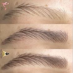 Hair Practice, Phibrows Microblading, Types Of Eyebrows, Permanente Make-up, Best Eyebrow Makeup, Curly Pixie Hairstyles