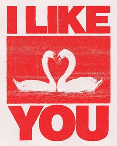 a red and white poster with two swans making a heart shape in the middle of it that says, i like you