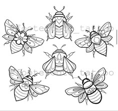 six bees with different markings on their backs and wings, all in black and white