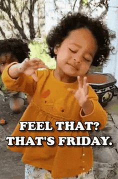 It’s Friday Gif, Happy Friday Dance Gif, Feel Good Friday Quotes Funny, Happy Friday Gif Funny, Its Friday Quotes Humor, Happy Friday Funny Hilarious, Cute Friday Quotes