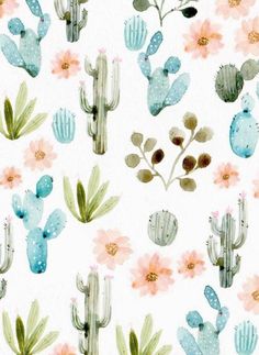 a white background with cactus and flowers on it