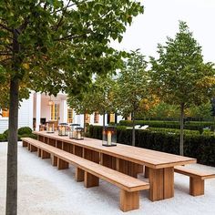 a long wooden table sitting in the middle of a park next to a tall tree