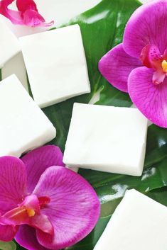 purple and white flowers with squares of soap next to them on a green leafy surface