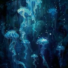 some very pretty jellyfish in the water