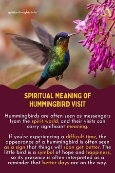 Spiritual Meaning of Hummingbird Visit Meaning Of Hummingbird, Bird Meanings, Hummingbird Spiritual Meaning, Hummingbird Quotes, Hummingbird Meaning, Worksheets For Prek, Hummingbird Symbolism, Bird Meaning, Spiritual Animals