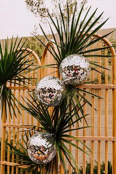 three disco balls are hanging from a bamboo fence with palm trees in the foreground