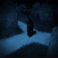 a black cat sitting in the middle of a cemetery at night with snow on the ground