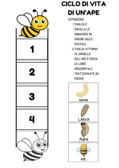 the number line with bees on it and numbers for each one to be written in spanish