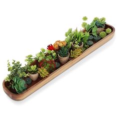 a long wooden planter filled with lots of succulents and other plants