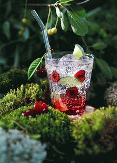 a glass filled with ice and cherries sitting on top of a moss covered ground