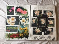 an open book with pictures of flowers on it