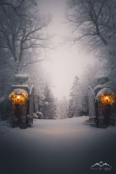 the entrance to a winter wonderland with lights on and snow covered trees in the background