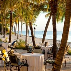 tables and chairs are set up on the beach with palm trees in front of them