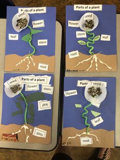 the parts of a plant are cut out and placed on top of each other to make it look like they have roots