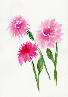 watercolor painting of three pink flowers on white paper with green stems and leaves in the foreground