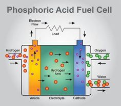 the diagram shows an image of a cell with hydrogens, water and other things in it