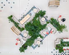 an overhead view of several tables and chairs with plants growing on the top one table