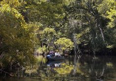 two people in a small boat on a river surrounded by trees and water with reflections