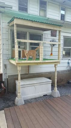 a cat standing on top of a wooden porch next to a white building with a green roof