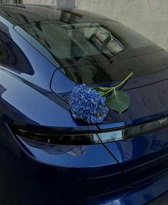 a blue car with a flower on the hood