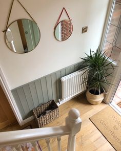 an overhead view of a hallway with a plant and mirror on the wall next to it