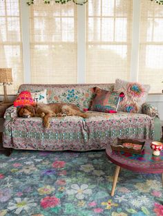 a dog laying on top of a couch in a living room next to two windows