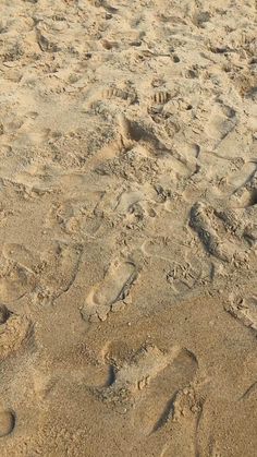 footprints in the sand on a sandy beach