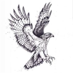 Radiant Hawk Tattoo Design Kit Hawk Tattoo Men, Red Tailed Hawk Tattoo, Hawk Tattoo Design, Tattoo Hawk, Hawk Tattoo Feminine, Osprey Tattoo, Hawk Tattoos, Hawk Design, Falcon Tattoo