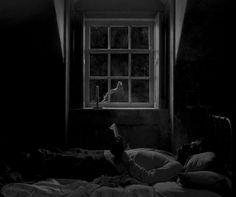 a person laying in bed reading a book by a window with the light shining on them