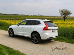 a white car parked on the side of a road near a field with yellow flowers