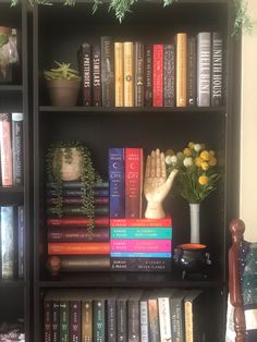 a bookshelf filled with lots of books next to a potted plant on top of a table