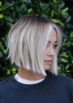 Short Womens Haircuts Thick Hair, Cute Stacked Bob Hairstyles, Short Hair Root Smudge, Short Fall Hair Color Blonde, Chin Length Hair Fine Straight, Chin Length Hair For Fine Hair, Blonde Bob Shadow Root, Long Shag Bob, Short Styles For Fine Hair