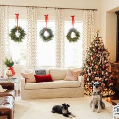 a living room decorated for christmas with wreaths on the windows and two dogs sitting in front of the fireplace